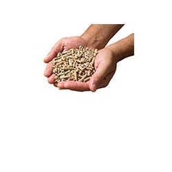 Pellets (Granulés de bois)